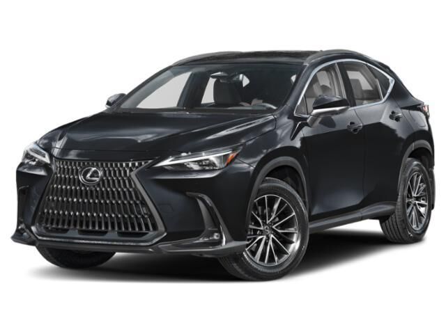 2024 LEXUS NX