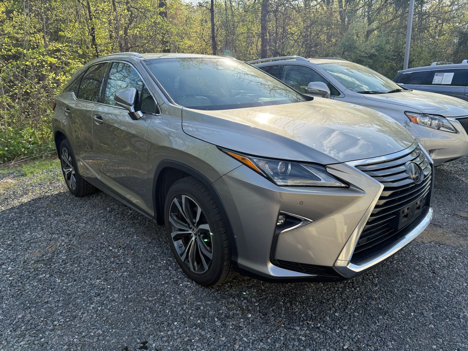 2019 LEXUS RX