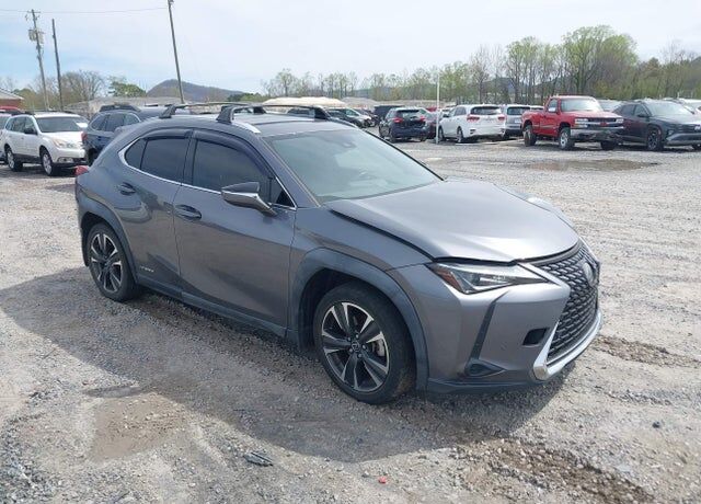 2019 LEXUS UX