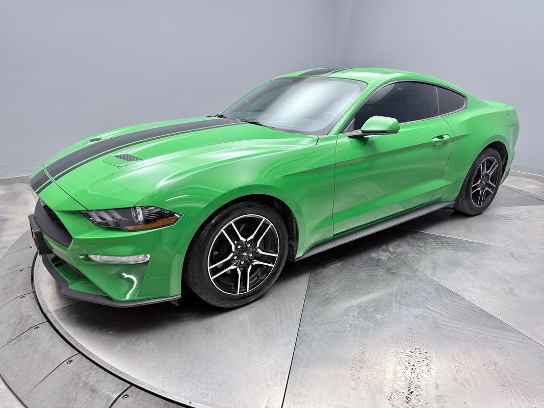 2019 FORD Mustang
