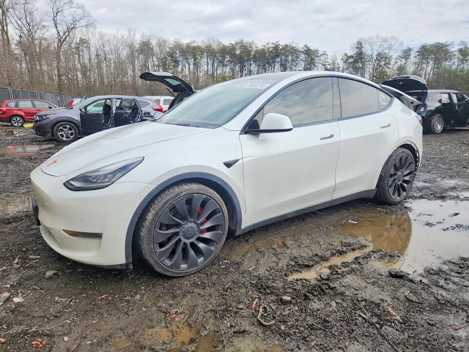 2020 TESLA Model Y