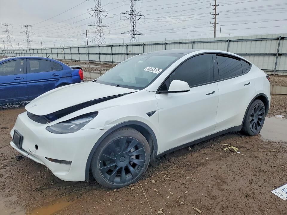 2023 TESLA Model Y