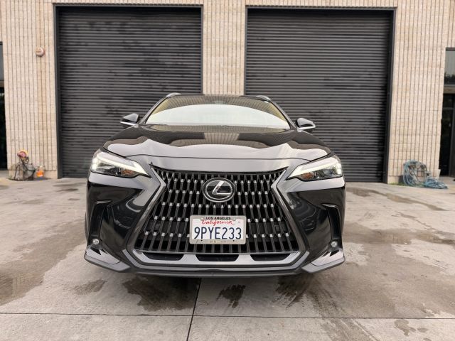 2025 Lexus NX