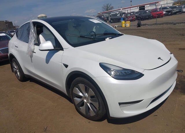 2021 TESLA Model Y