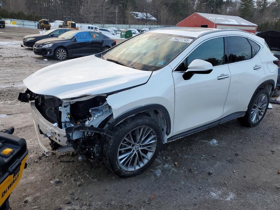 2023 LEXUS NX