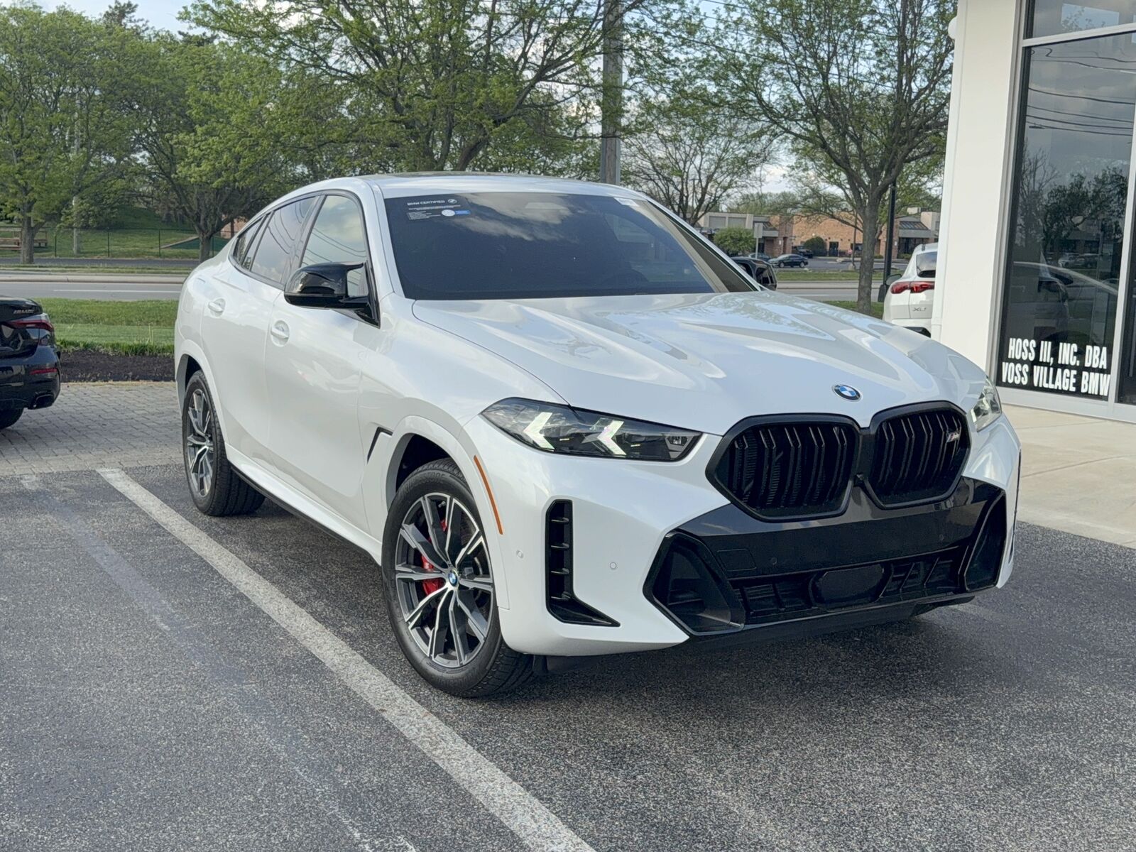 2026 BMW X6