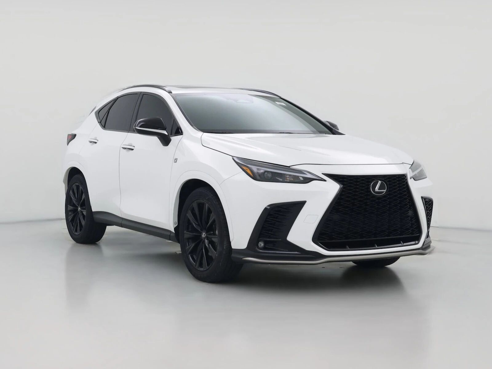 2024 LEXUS NX