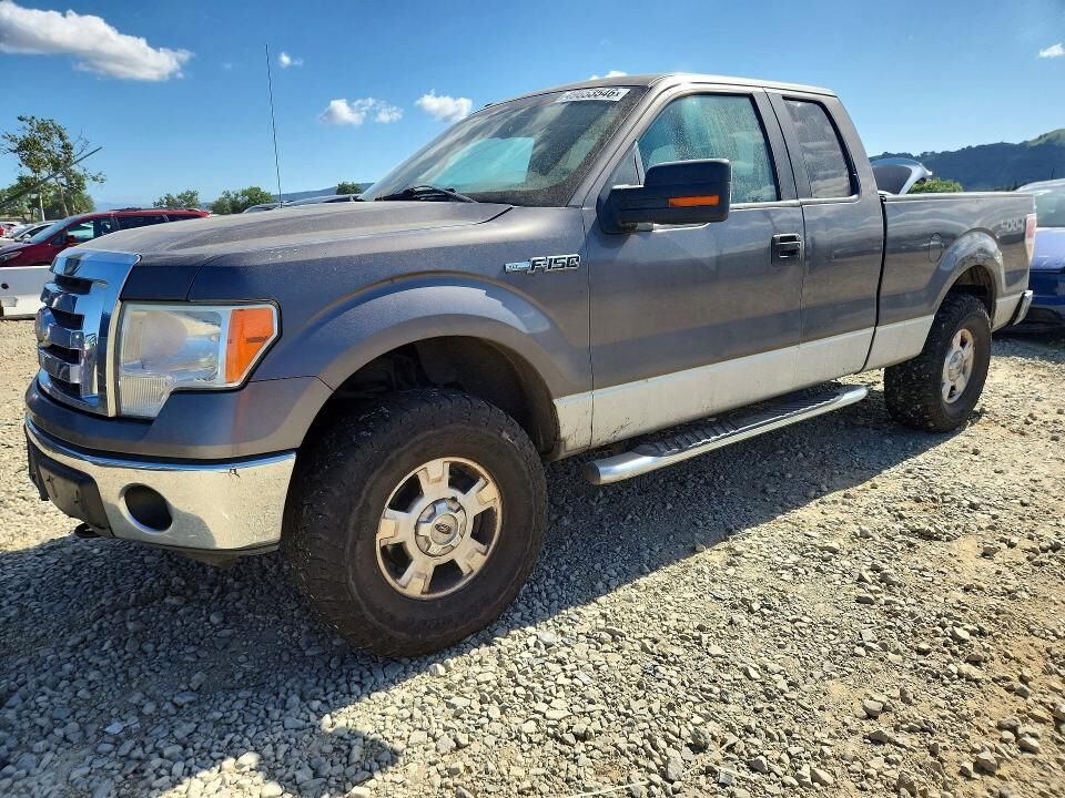 2009 FORD F-150