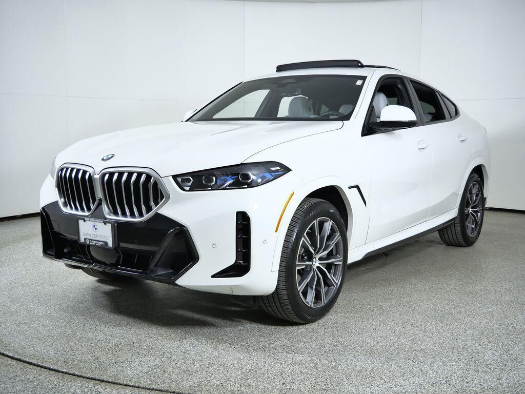 2025 BMW X6
