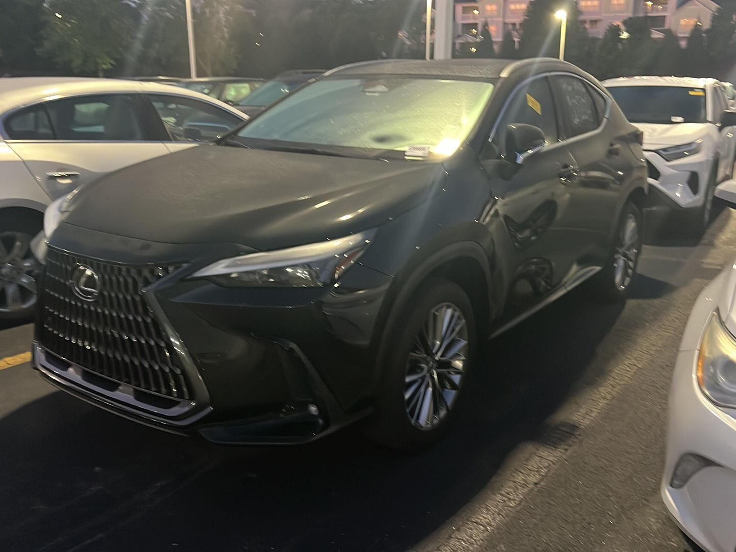 2023 LEXUS NX
