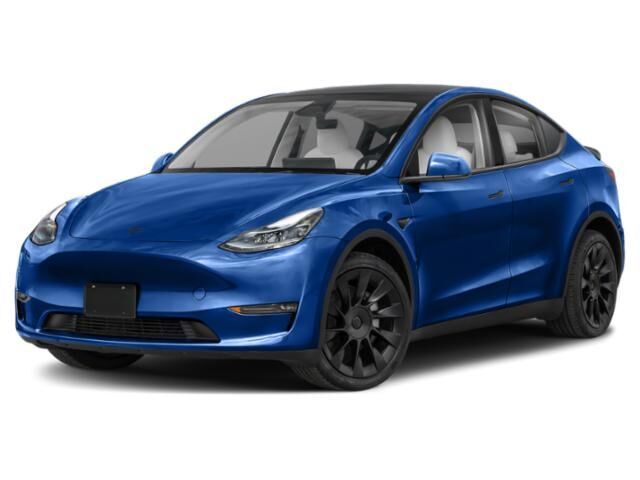 2025 TESLA Model Y