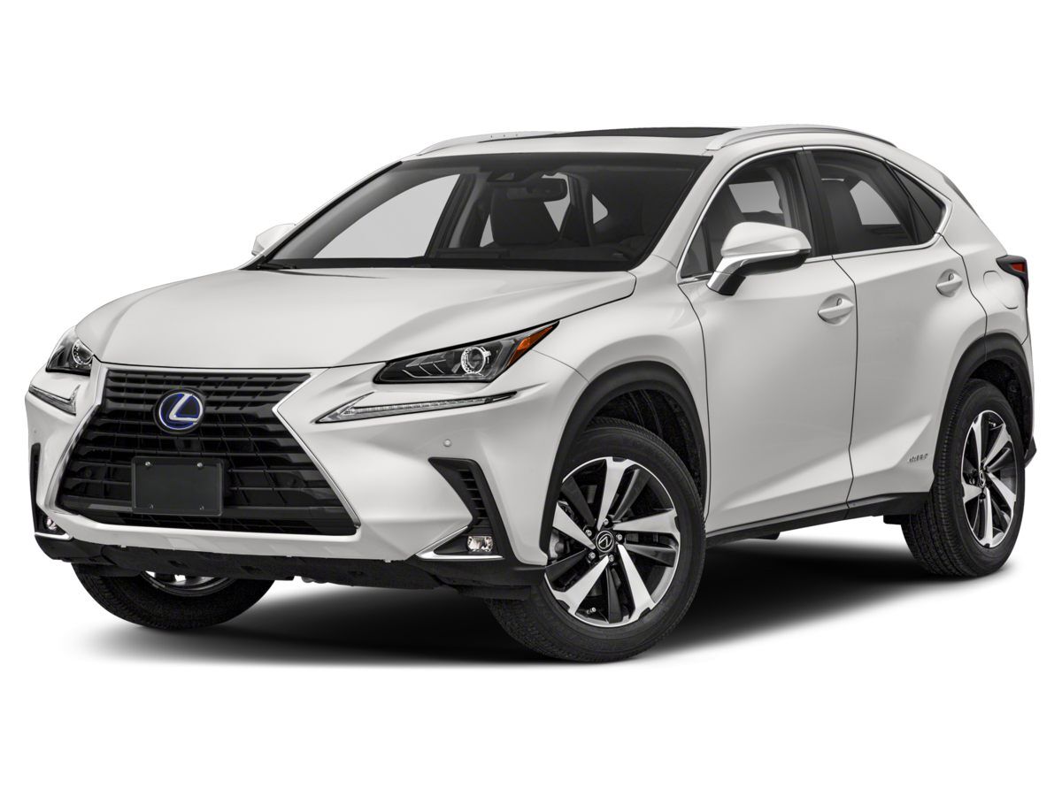 2019 LEXUS NX