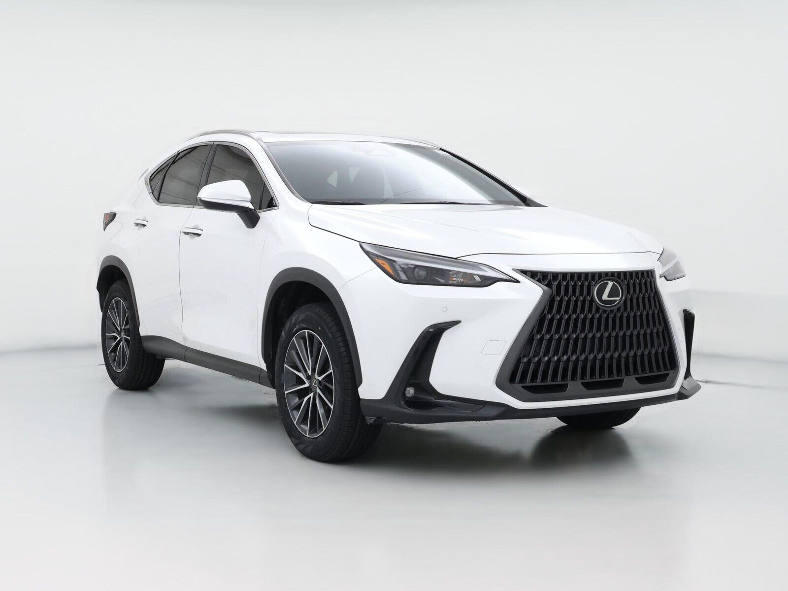 2024 LEXUS NX