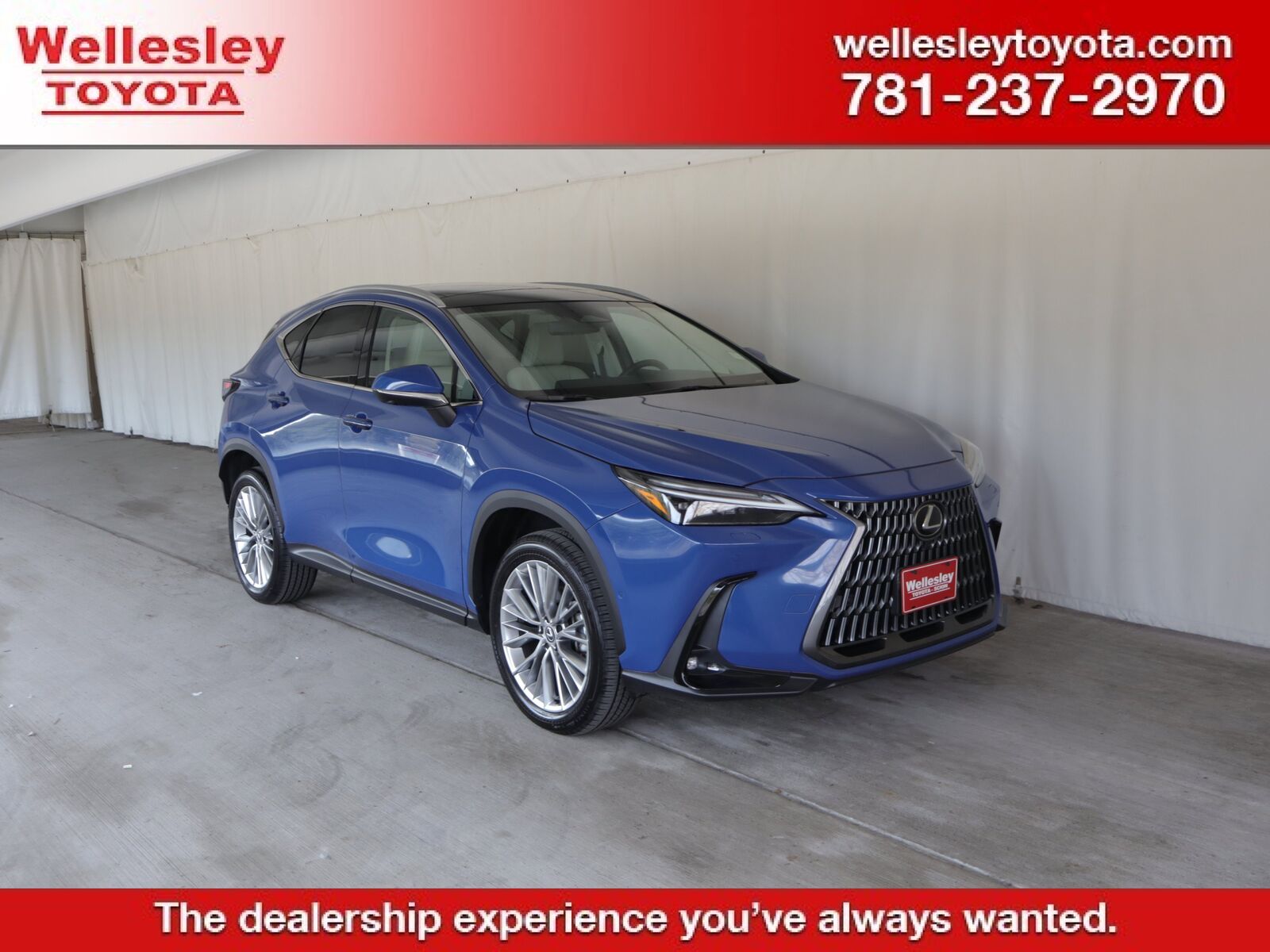 2025 LEXUS NX