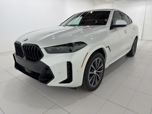 2024 BMW X6