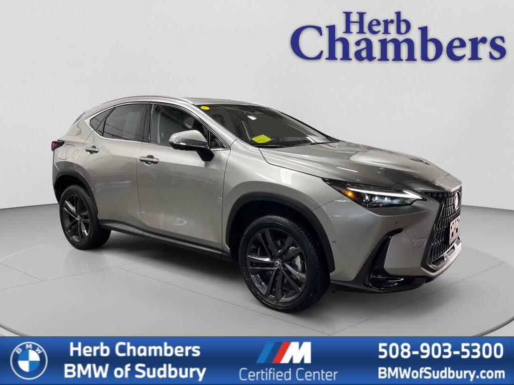 2024 LEXUS NX