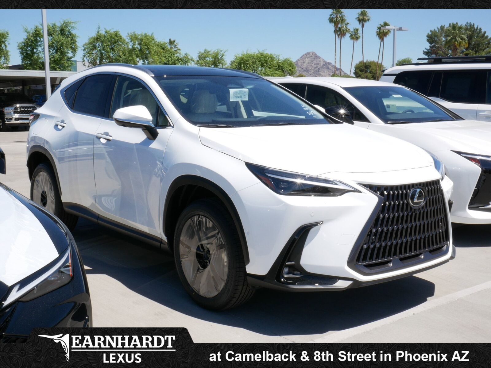 2026 LEXUS NX