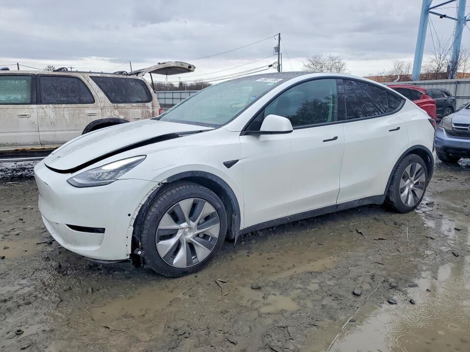 2021 TESLA Model Y
