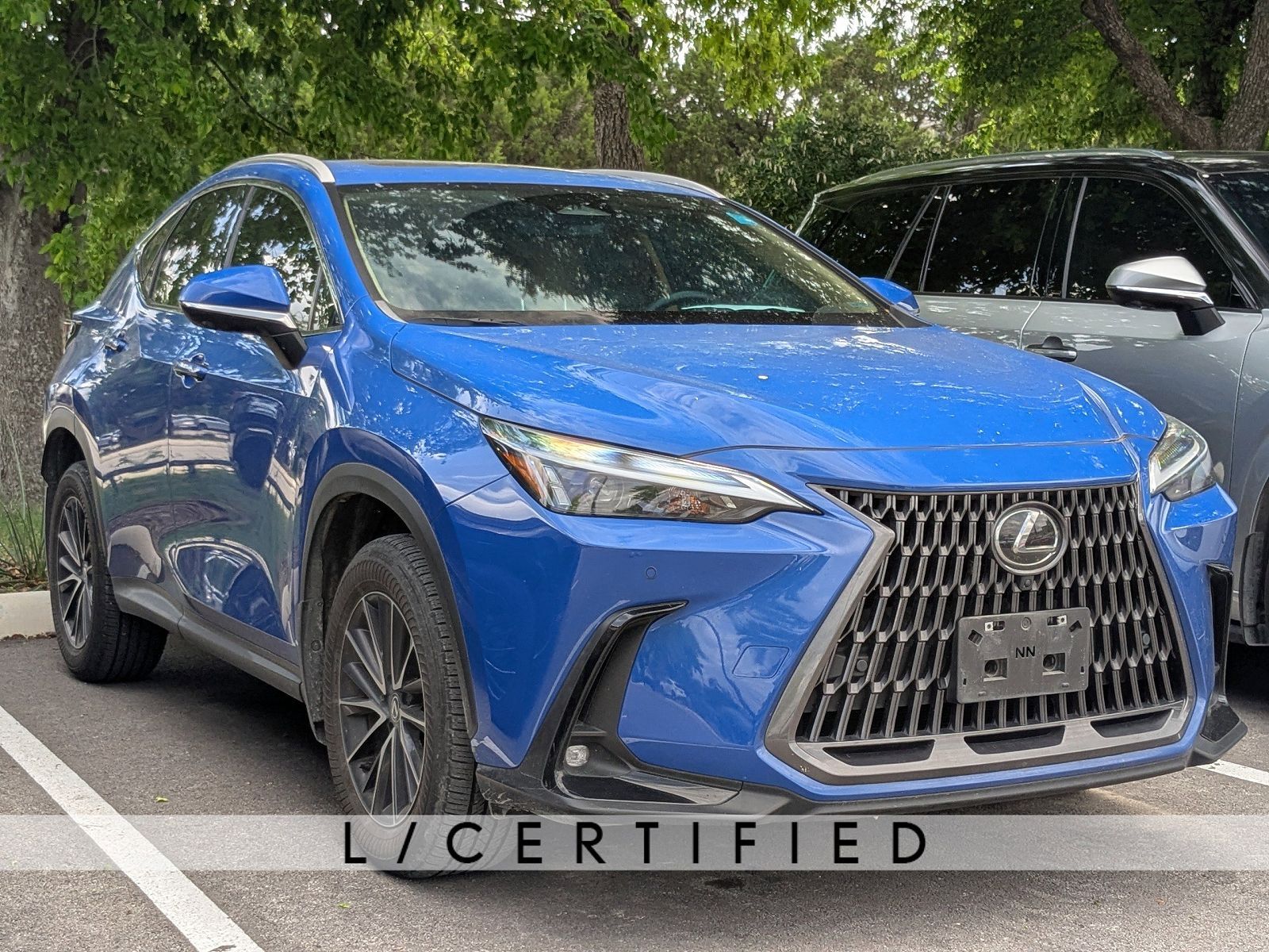 2024 LEXUS NX