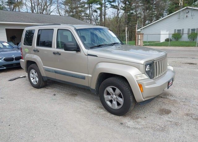 2010 JEEP Liberty