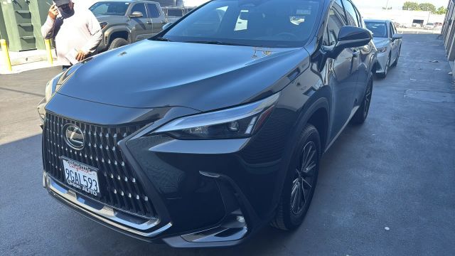 2024 LEXUS NX