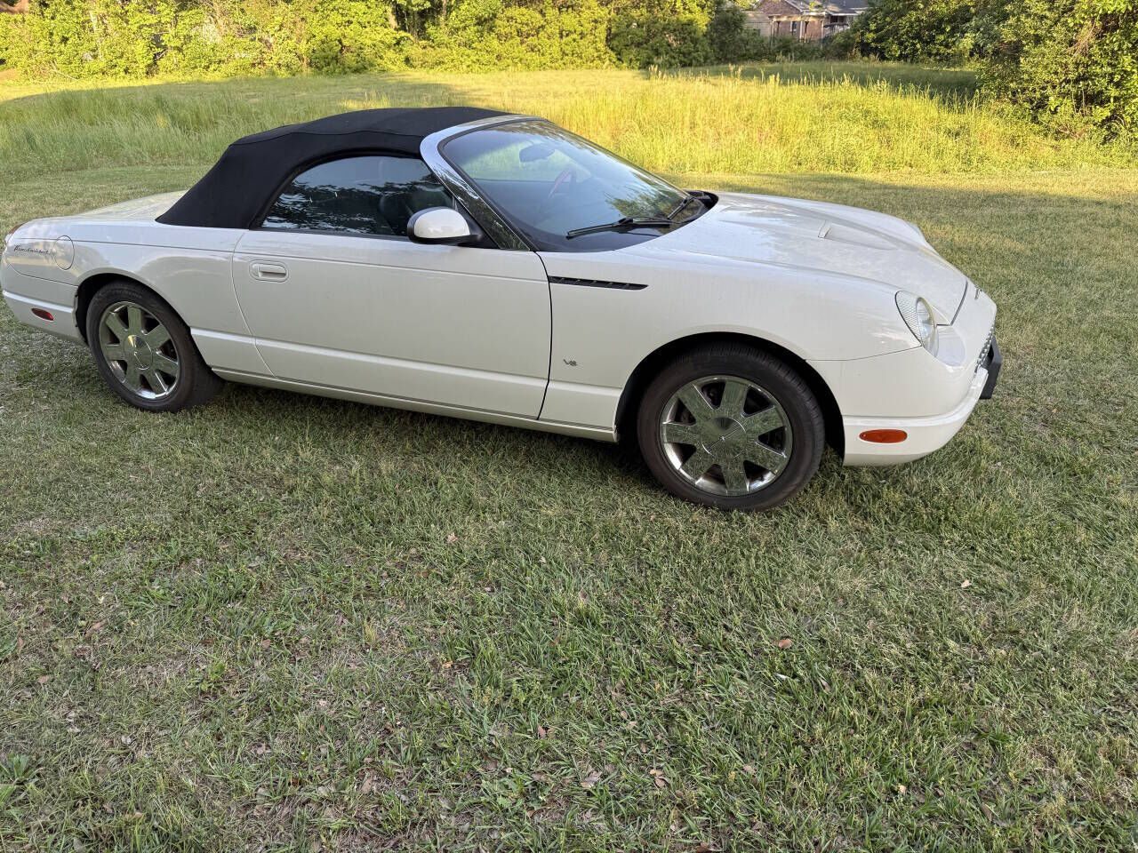 2003 FORD Thunderbird