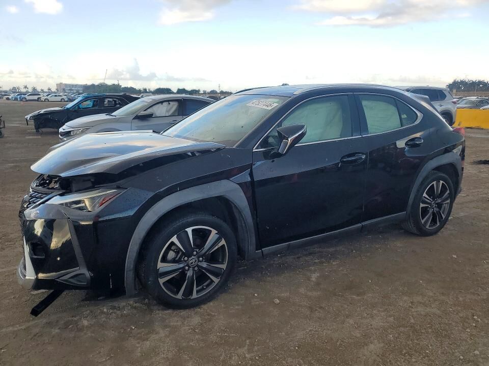 2019 LEXUS UX