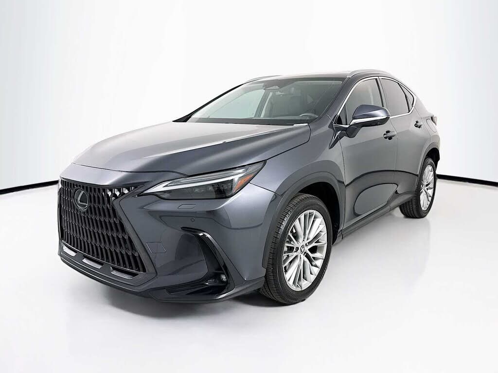 2024 LEXUS NX