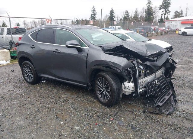 2023 LEXUS NX