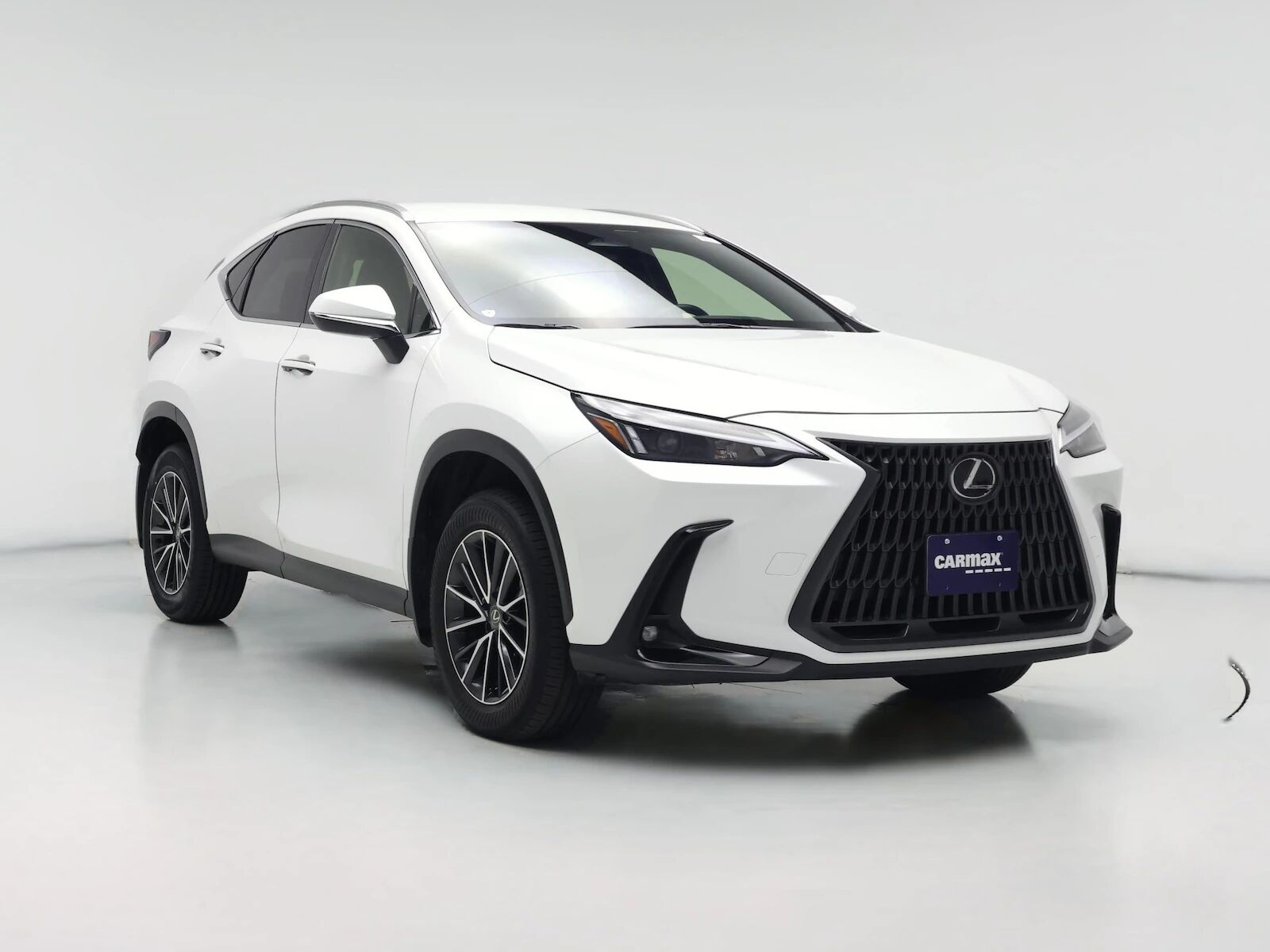 2024 LEXUS NX