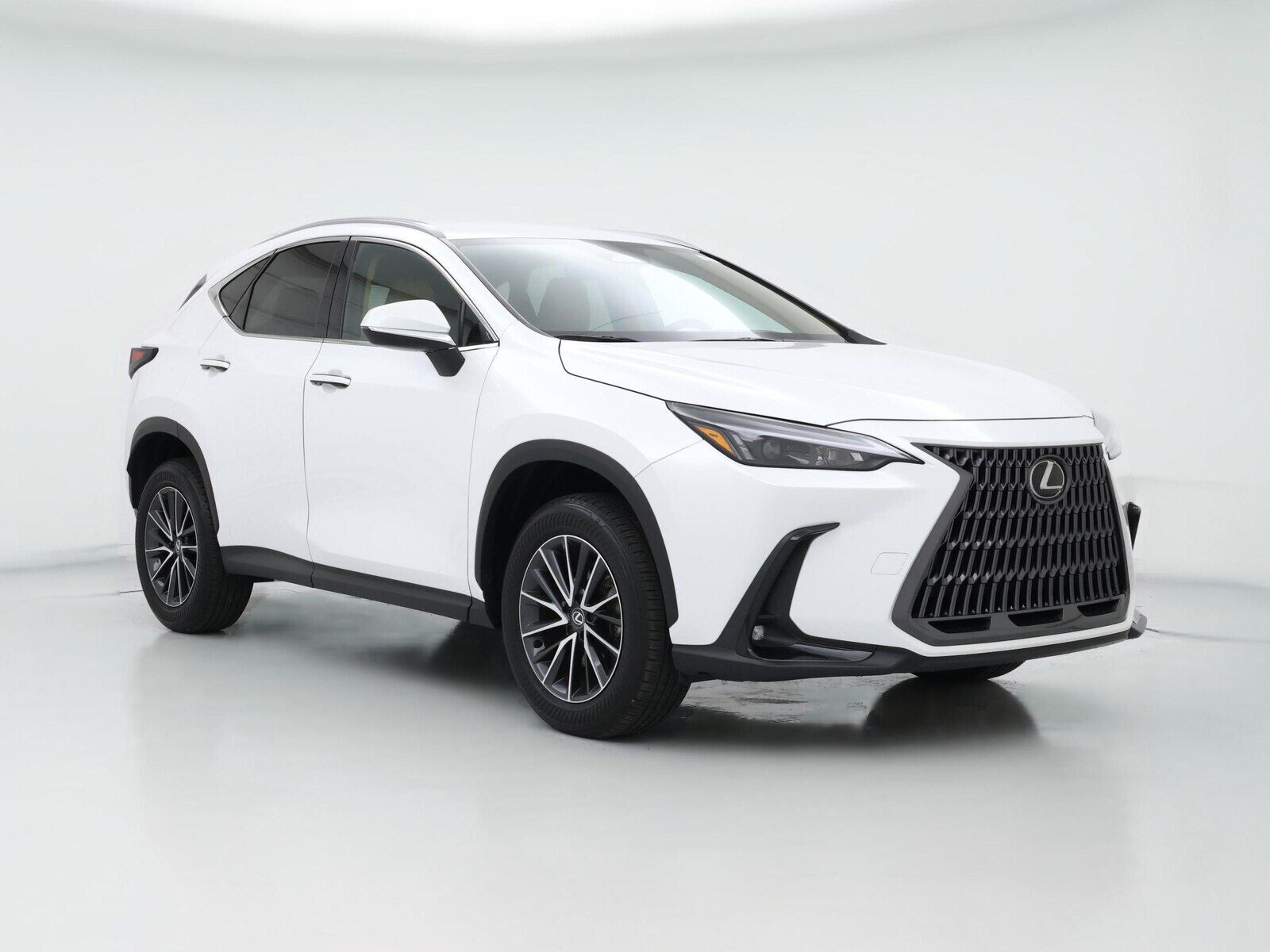 2024 LEXUS NX