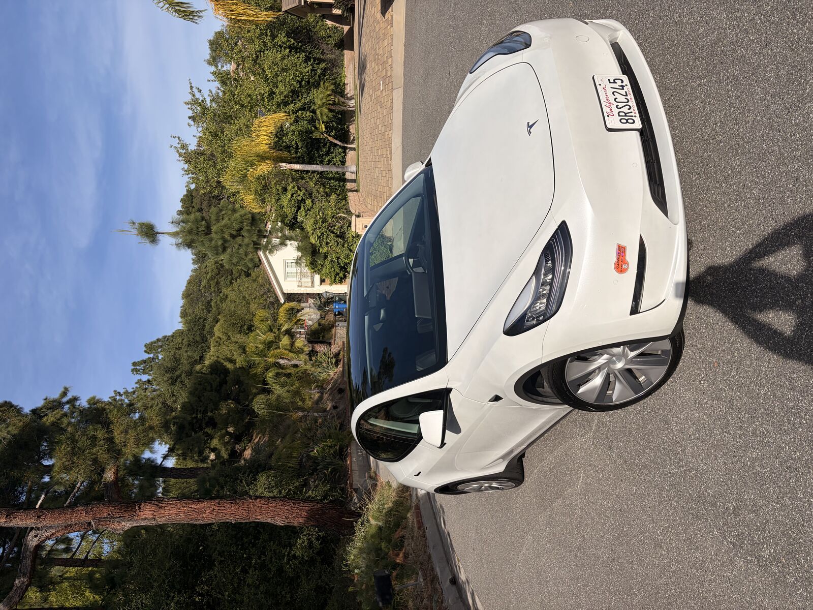2020 TESLA Model Y