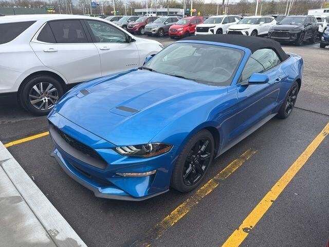 2019 FORD Mustang