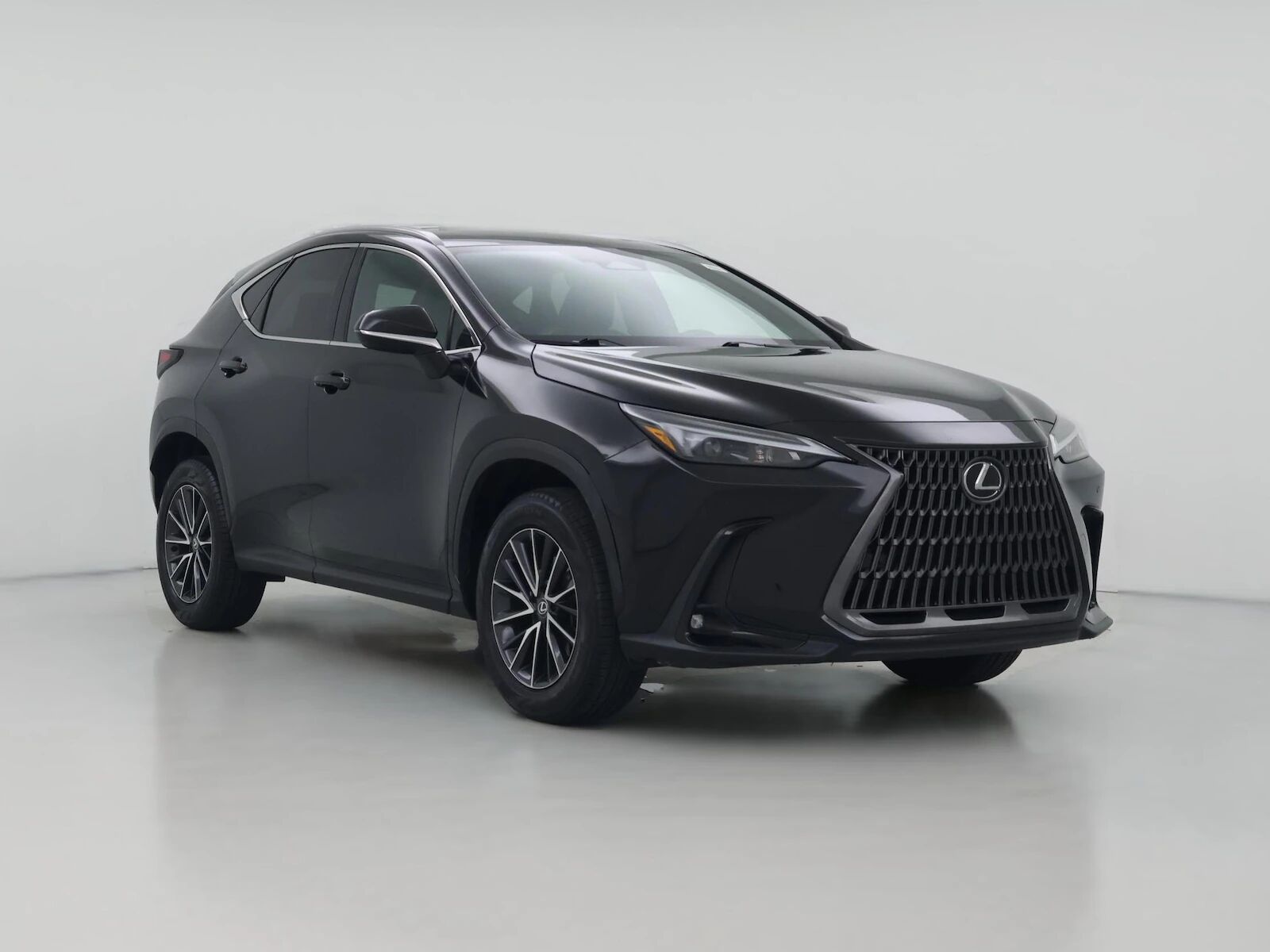 2024 LEXUS NX