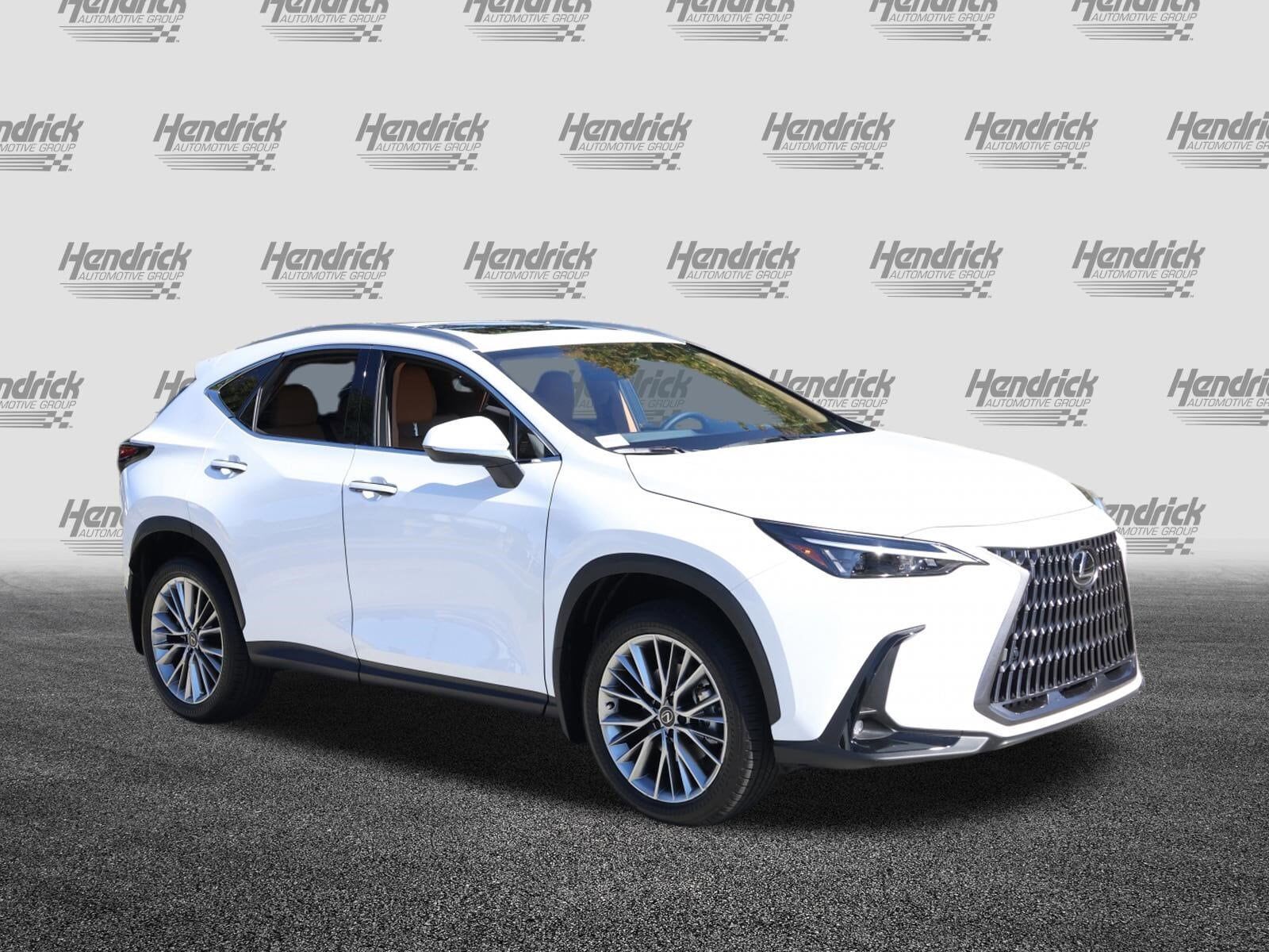 2026 LEXUS NX
