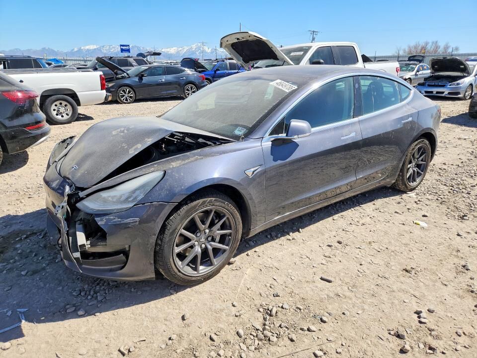 2019 TESLA Model 3