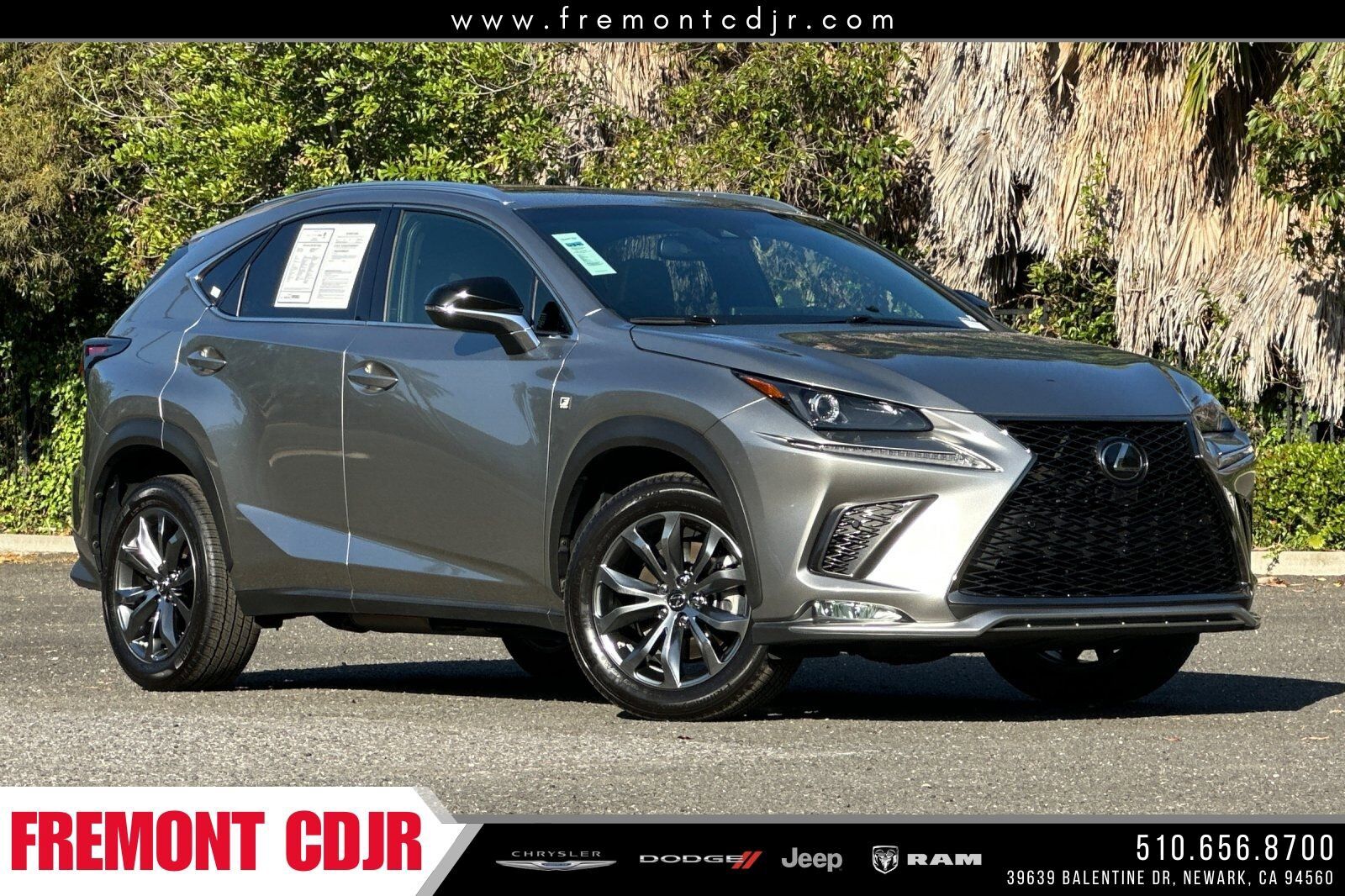 2019 LEXUS NX