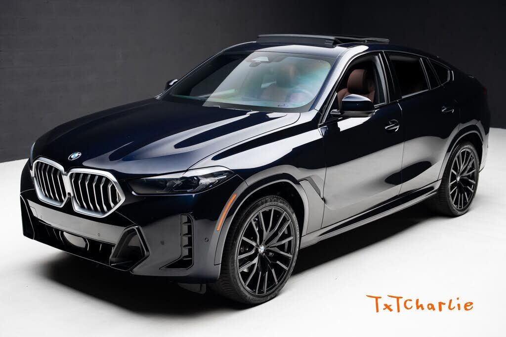 2024 BMW X6
