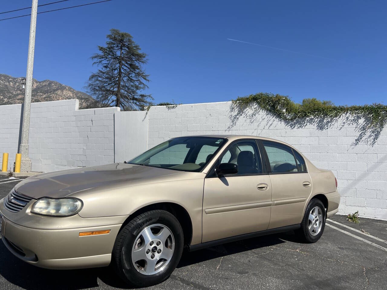 2005 CHEVROLET Malibu Classic