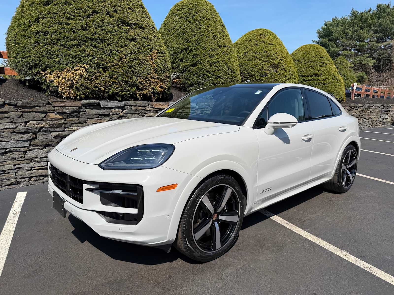 2025 PORSCHE Cayenne