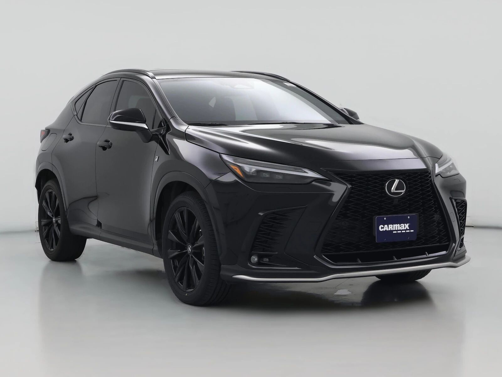 2024 LEXUS NX