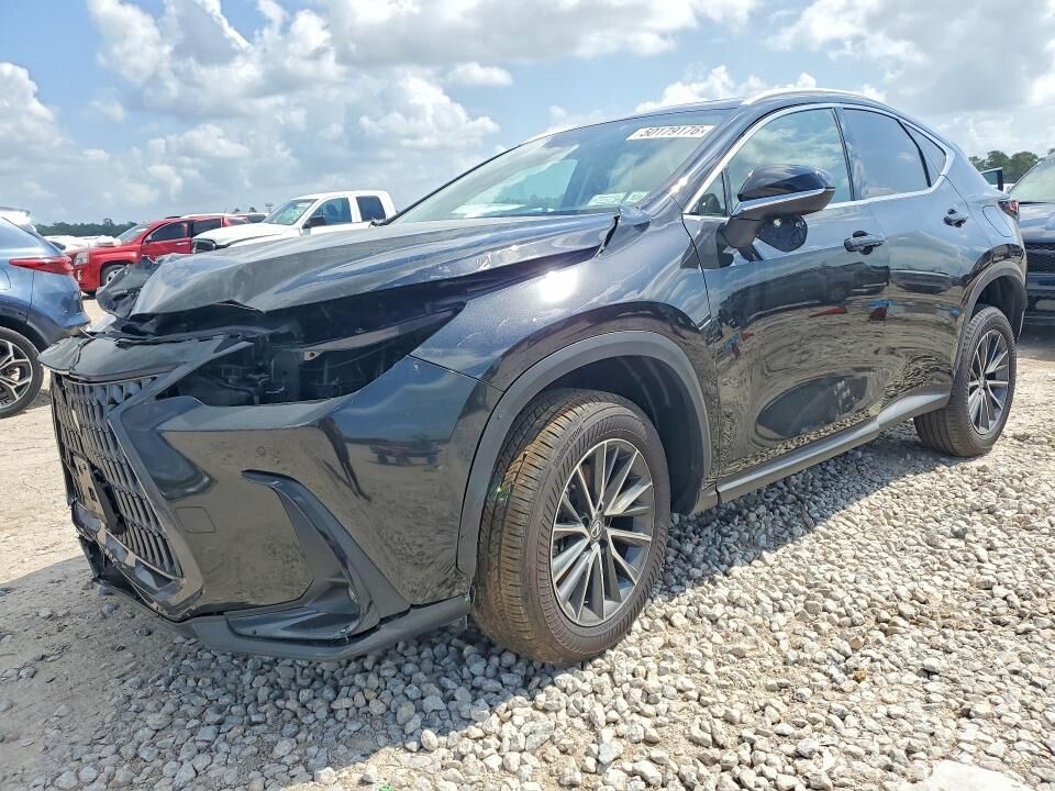 2025 LEXUS NX