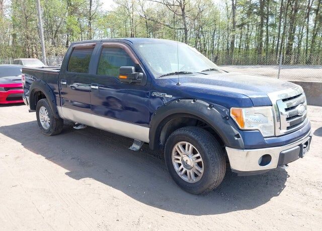 2009 FORD F-150
