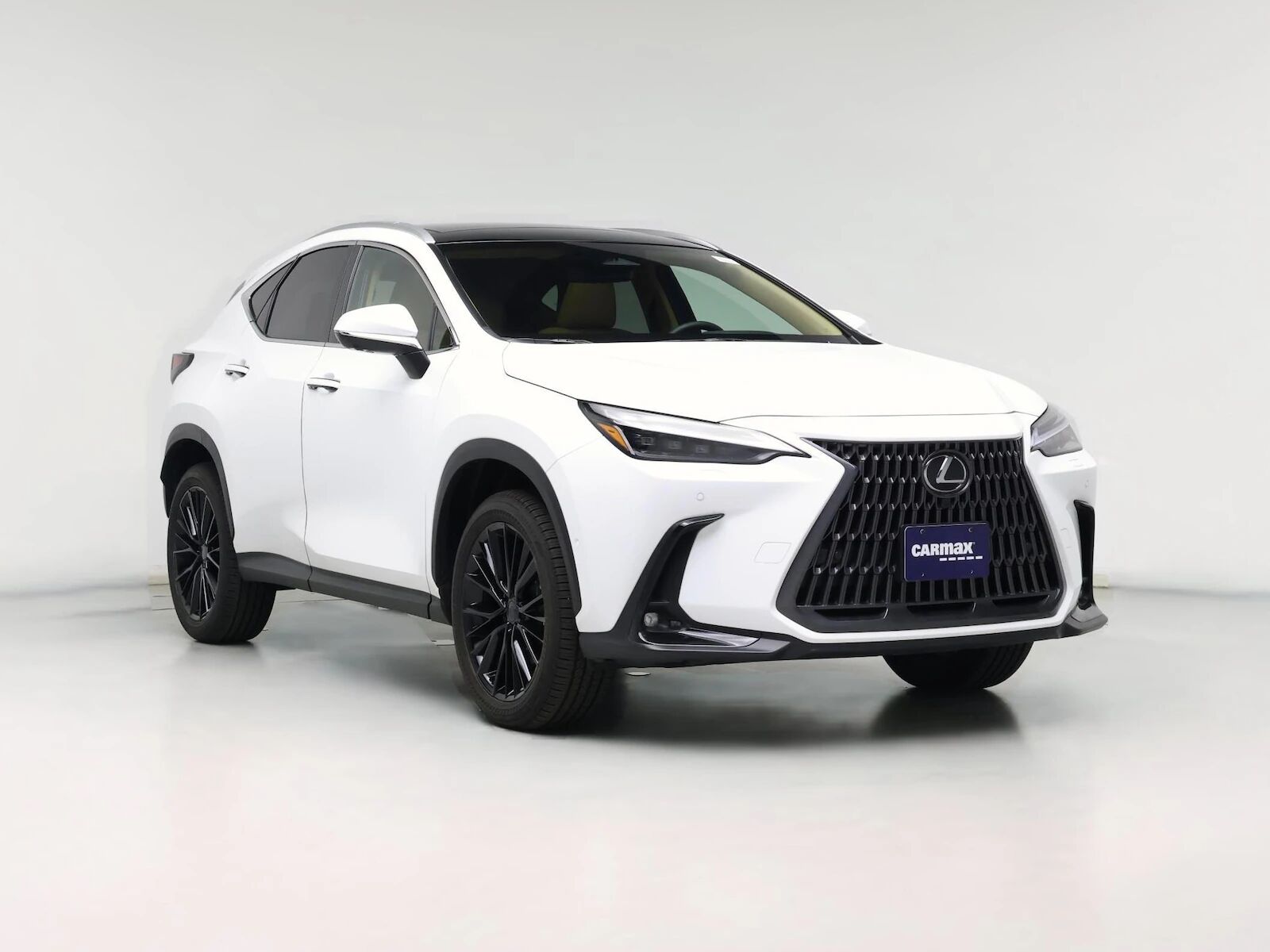 2026 LEXUS NX