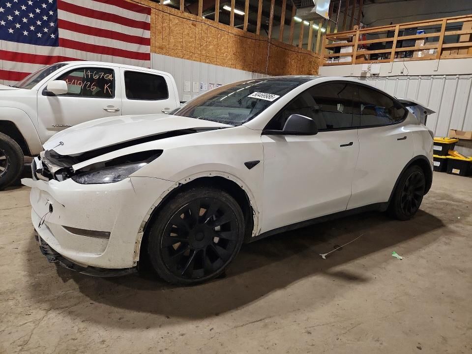 2020 TESLA Model Y
