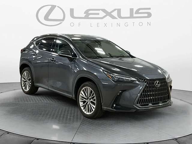 2025 LEXUS NX