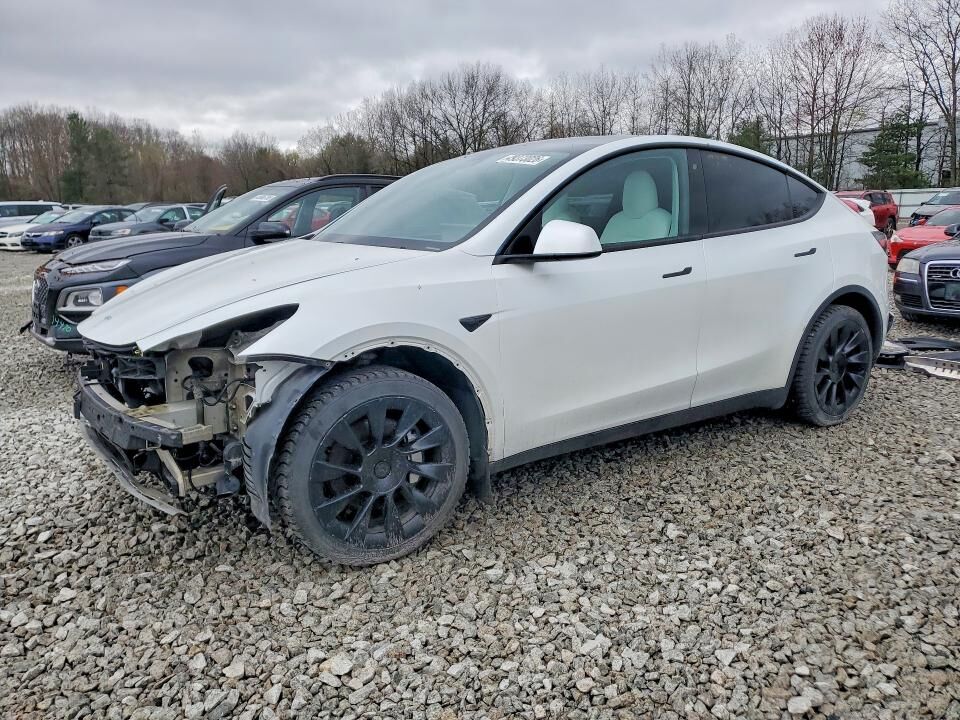 2020 TESLA Model Y
