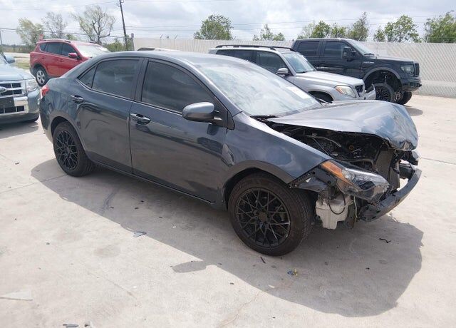2019 TOYOTA Corolla
