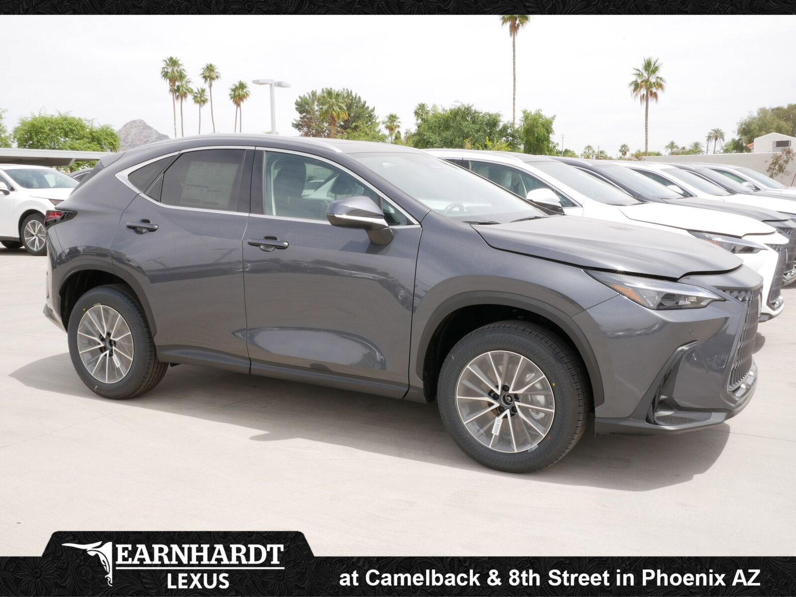 2026 LEXUS NX