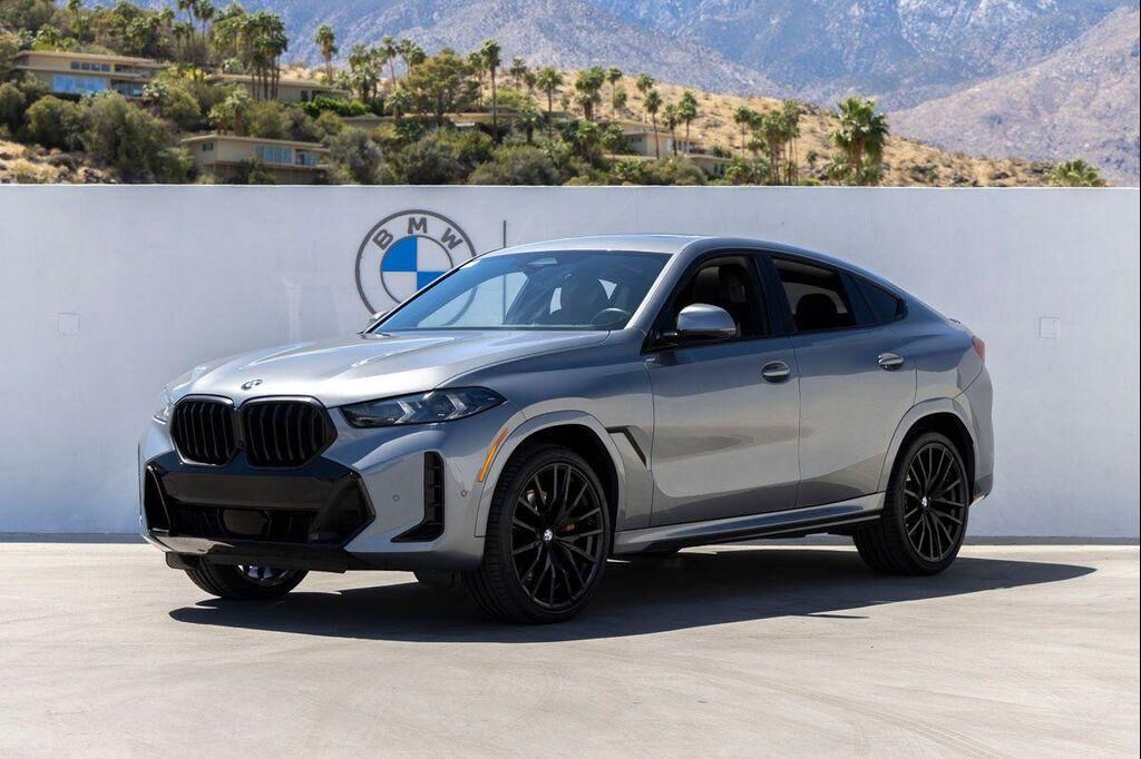 2024 BMW X6